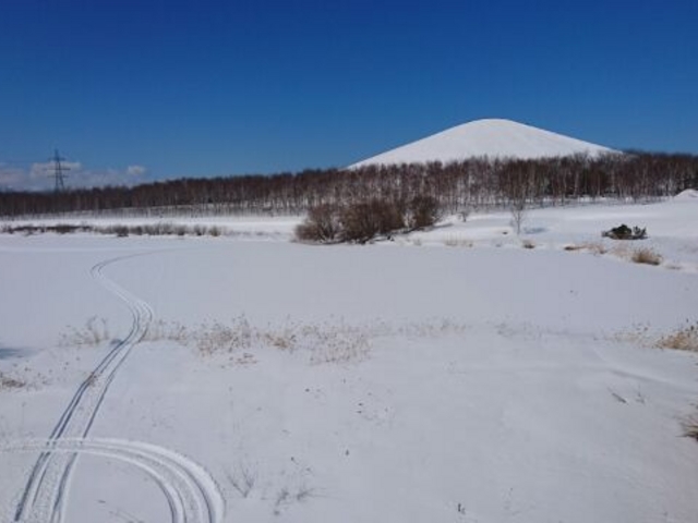 �������ʐ�i�F_���G��������