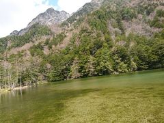 ͂Ȃ񂳂̖_rւ̓eʐ^1