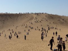 ���捻�u�̎ʐ^1