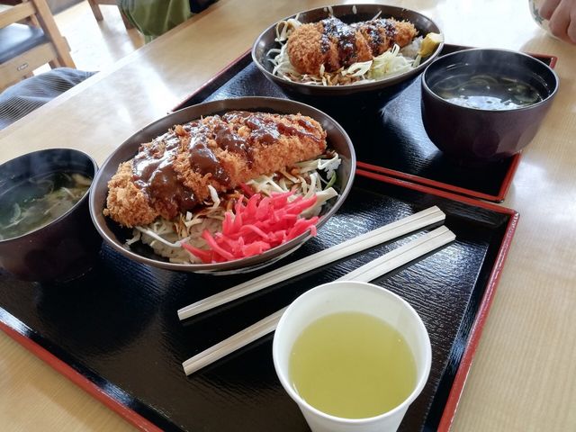 XJcǂƃ\[XJcǂ_̉w ֒