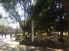 Kuda12����̐��������ւ̓��e�ʐ^1