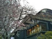 HappỷVB ɓh ~̓eʐ^1