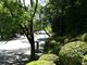 unariさんの高知公園の投稿写真1