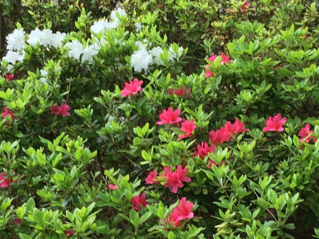 �c�c�W_���r