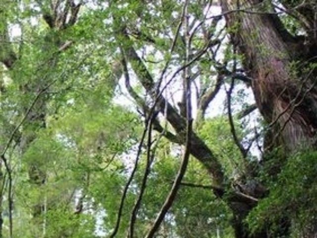 ���N�X�M�����h_���N�X�M�����h