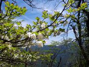 h`bN̎Rk̃VVIccW̓eʐ^3