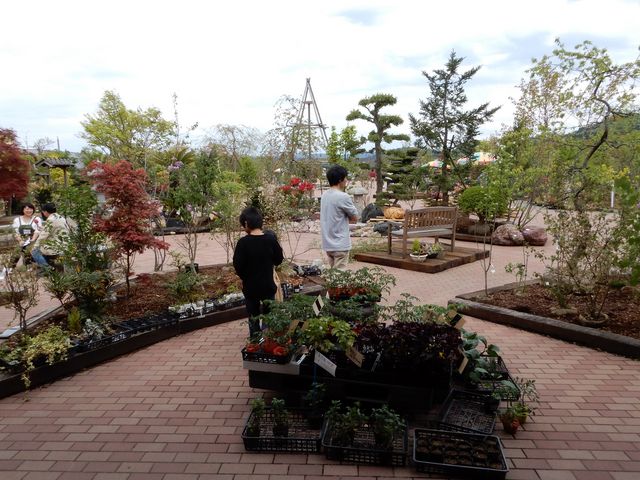 ���̐�ɒ뉀���L�����Ă��܂�_���̉w �뉀�̋� �ۓ�