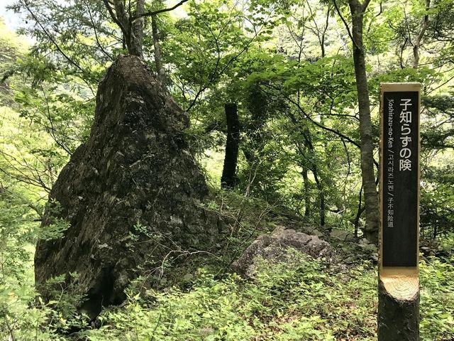 򗴋̋߂ɂuqm炸̌v_򗴋