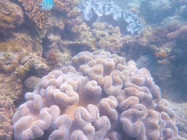 ���t���t�̎X��_�_�C�r���O�V���b�v�@�l�o�[�����h