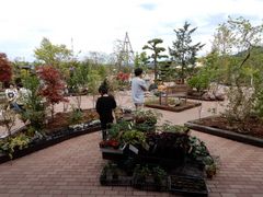 V񂳂̓̉w 뉀̋ ۓւ̓eʐ^1