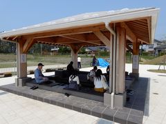 V񂳂̂̉w@̂Ɛ痢lւ̓eʐ^5