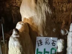 }X^[h̐Ί_ߓւ̓eʐ^1