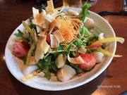 Bernese����̐^�� �g�ˎ��X�̓��e�ʐ^4