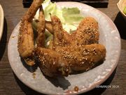 Bernese̗{VT EX̓eʐ^3