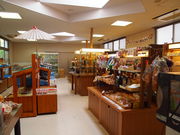 ˂񂳂̓̉w Ȃ̓eʐ^3