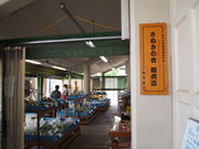 ˂񂳂̓̉w Ȃ̓eʐ^4