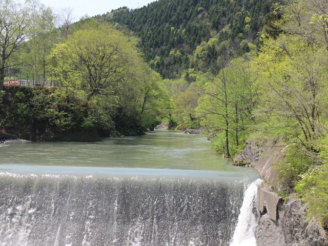 �����Ȑ����Ԃ�_���k�J�u�ѐ勬�v