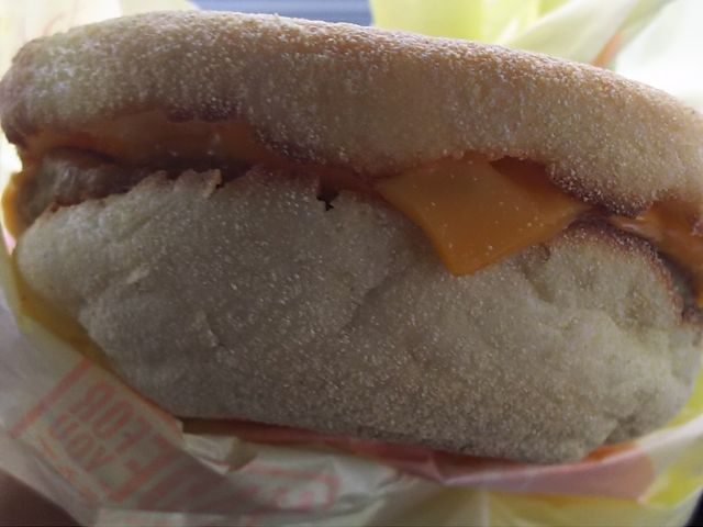 ܂[񂳂̃}NhihɐX̓eʐ^1