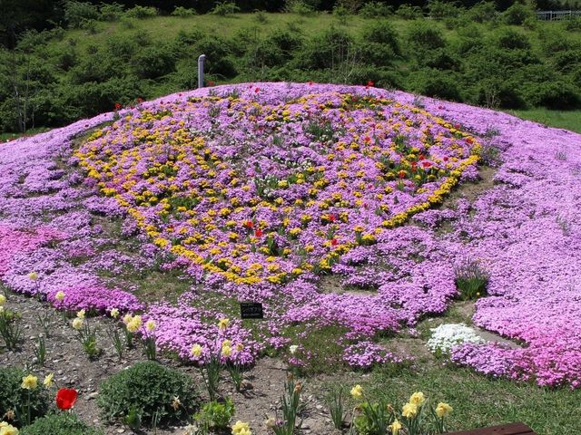 �V�o�U�N���Ԓd_����̗��n�[�u�K�[�f��