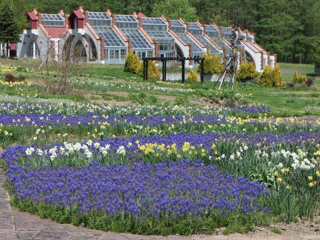 ���X�J��_����̗��n�[�u�K�[�f��