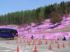 ��������񂳂�̎ł�����������ւ̓��e�ʐ^1