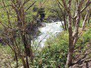 񂳂̑kJRx{т̓eʐ^2