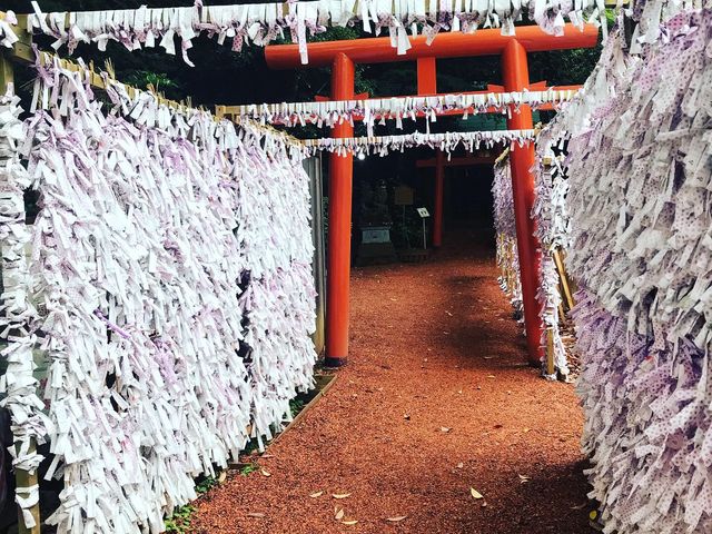 ���݂�������_�u�T�~���K�vSun-Hi