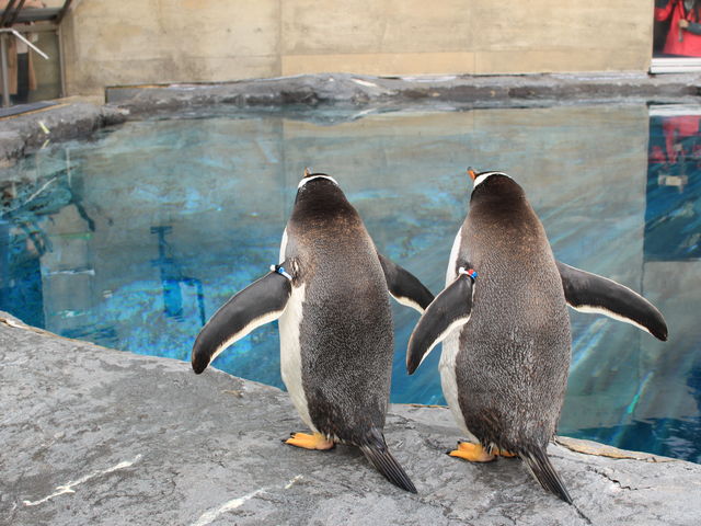 �y���M��_���R������