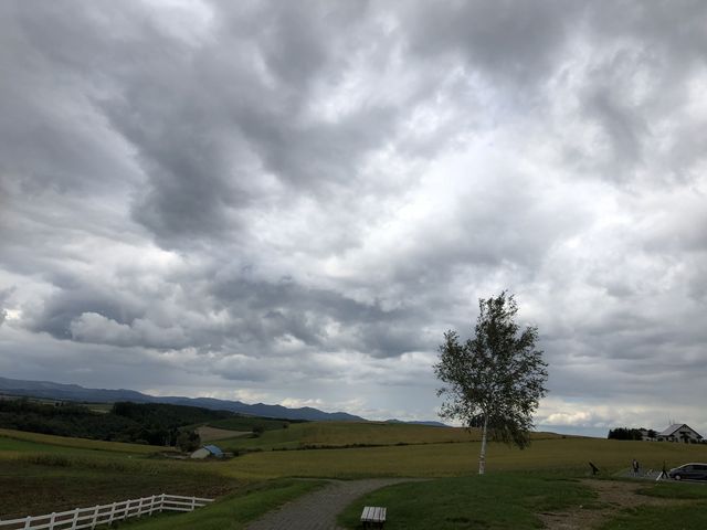 ������Ɠ܂��Ă܂��������ƂƂɂ����C�����̂����ꏊ�ł�_�V�h�̋u�W�]����