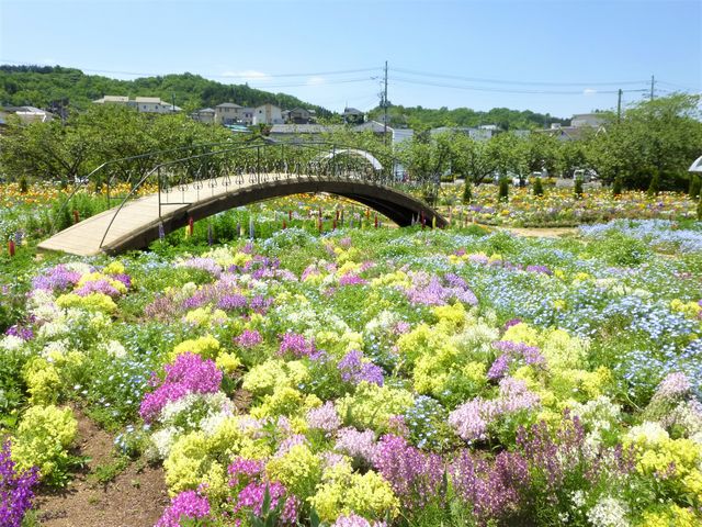 �ƂĂ��f�G�ȃf�U�C���ł�_���̓t�����[���[���h