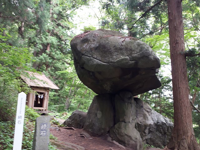 ����_����