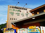 ˂񂳂̓̉w c̋炬̓eʐ^1