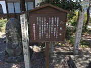 �����̂�������̔��e�˂̓��e�ʐ^1