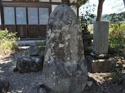 �����̂�������̔��e�˂̓��e�ʐ^2