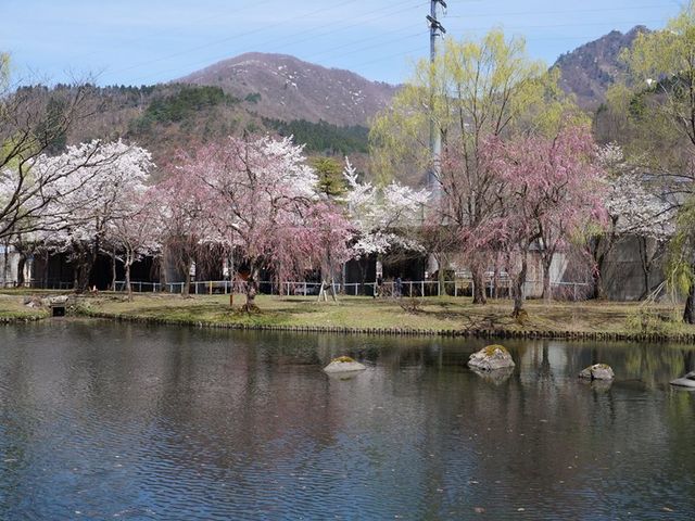 湯沢中央公園 アクセス 営業時間 料金情報 じゃらんnet