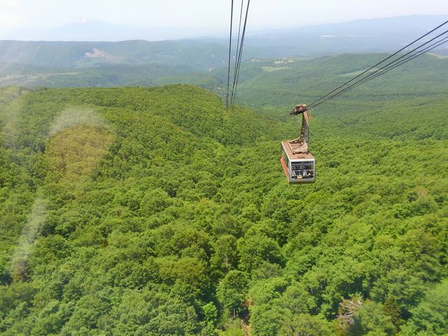 ���Ɖ��肪�������܂�_���b�c���[�v�E�F�[