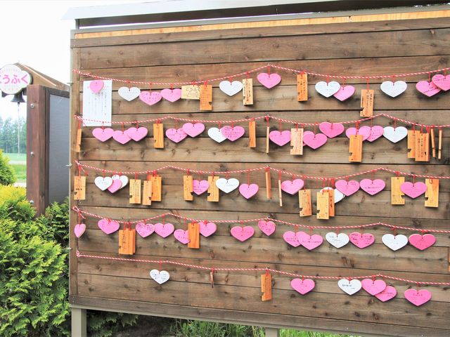 �n�[�g����R_�K���w�i�K���S�������j