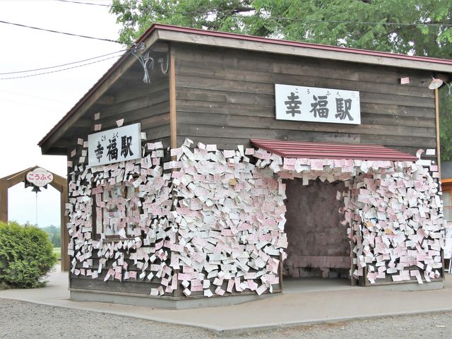 �ؕ��̓\��ꂪ������_�K���w�i�K���S�������j