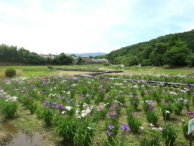 �Ƃ�����ԏҊ���_�Ƃ�����ԏҊ���