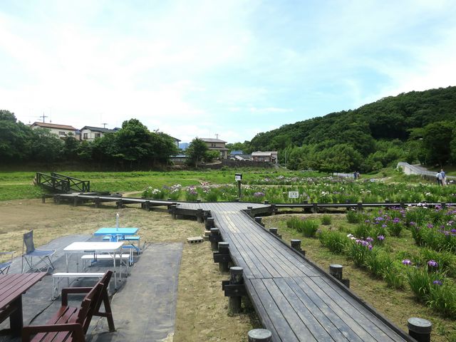 �Ƃ�����ԏҊ���_�Ƃ�����ԏҊ���