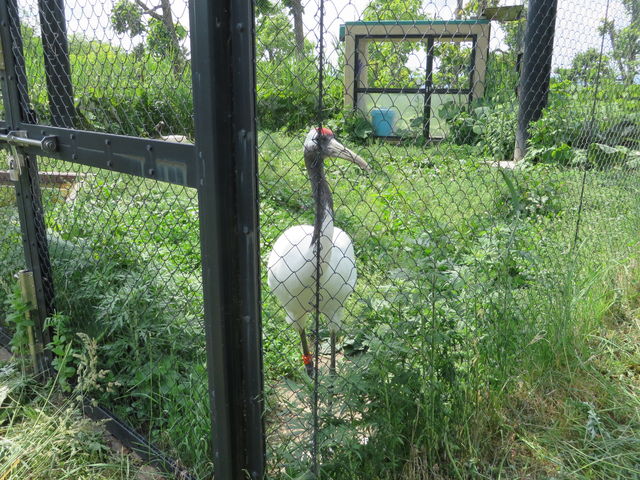 �^���`���E�c��_���R������