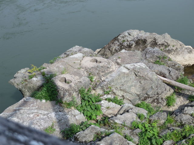 ��b�H���̐ՂɌ����܂�_�_�����K�������Q