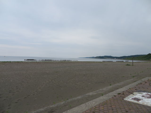 ���l_�P�J�C������