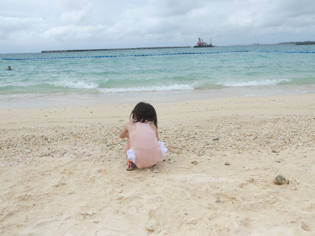 �g�����₩�Ŏq����V�΂��₷��_�p�C�i�K�}�r�[�`