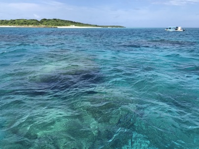 ꂢȊCŃVm[P_}T[rX@ӂ