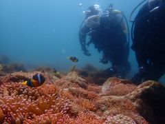 DIVEHOUSE FUTO̎ʐ^1