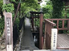 雰囲気の良い路地 いがわこみちの口コミ じゃらんnet