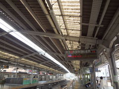 �g�����\����̓��}�d�S���R���u�w�i�������E��䒬���j�ւ̓��e�ʐ^1