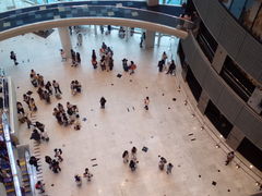 �A���_�[����̐V���l�v�����X�z�e���ւ̓��e�ʐ^1