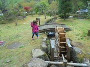 ̒ÐsR@ΐS̗Hق̓eʐ^2